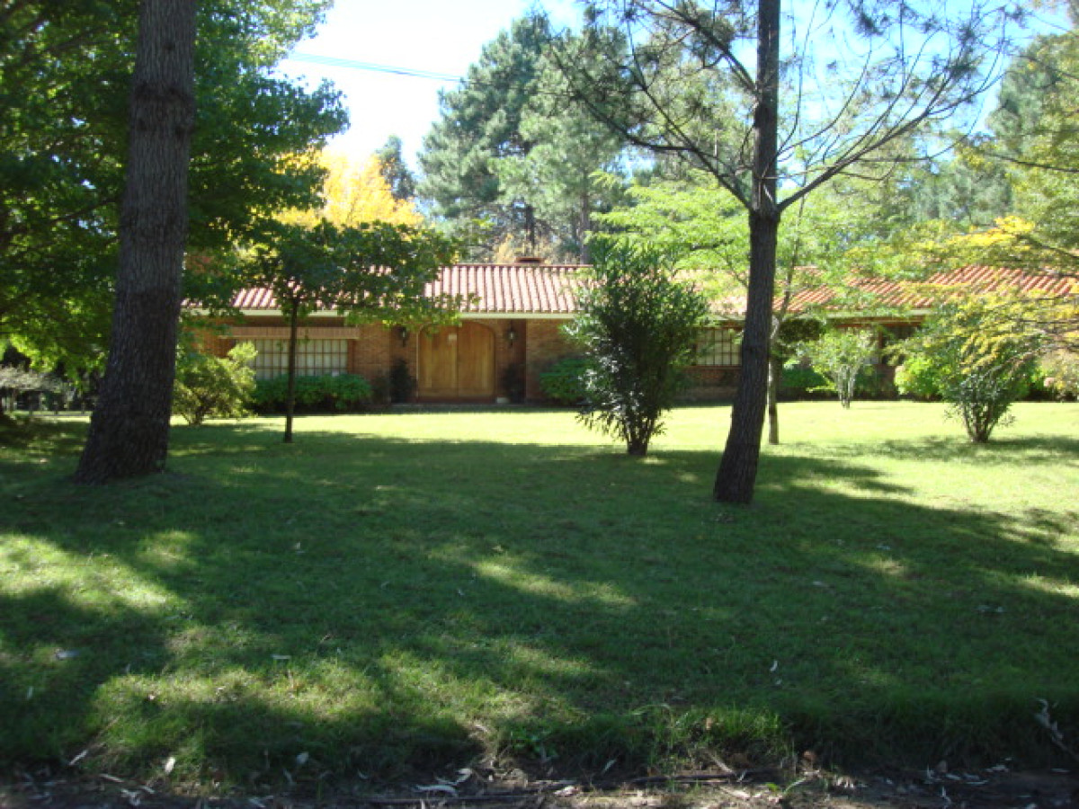 Casa ID.239 - Casa en Punta Ballena, Punta Ballena