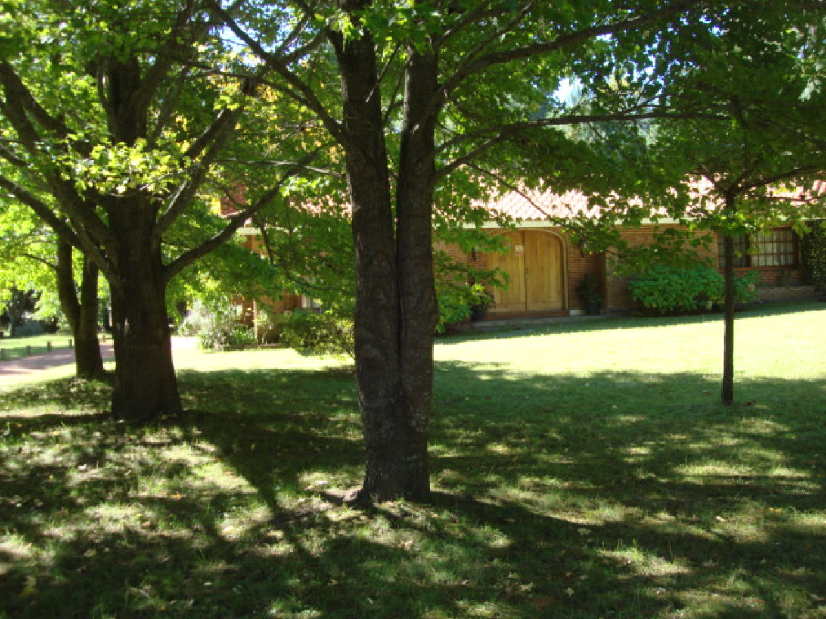 Casa ID.239 - Casa en Punta Ballena, Punta Ballena