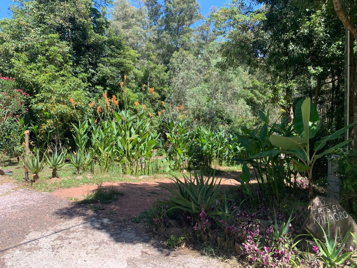 Casa ID.6775 - Venta casa en las cumbres Punta Ballena 