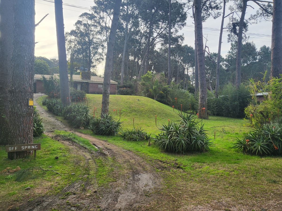 Casa ID.6150 - Casa en el bosque