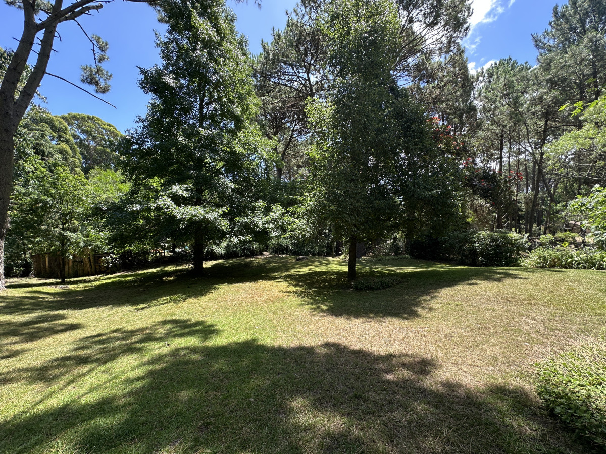 Casa ID.6698 - Venta casa en zona Portezuelo bosque, Punta Ballena 