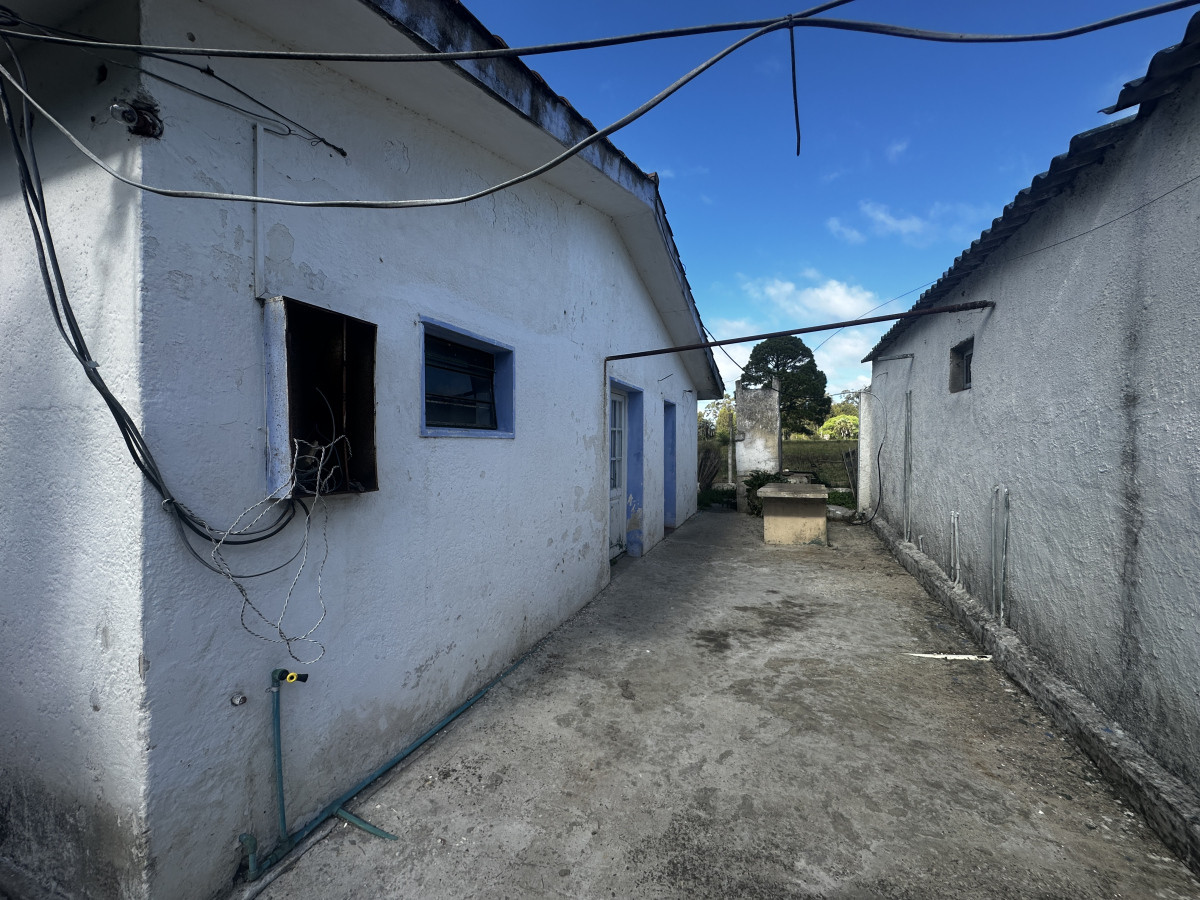 Casa ID.6814 - Venta de 3 casas sobre camino Lissich Punta Ballena 