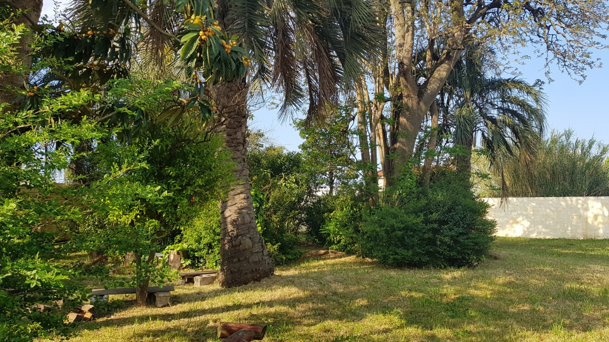 Casa ID.4944 - Casa en Maldonado, Centro Maldonado