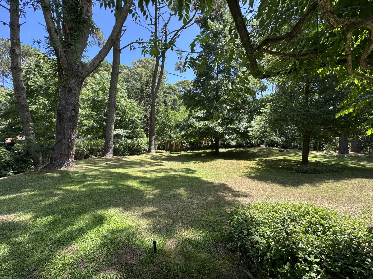 Casa ID.6698 - Venta casa en zona Portezuelo bosque, Punta Ballena 
