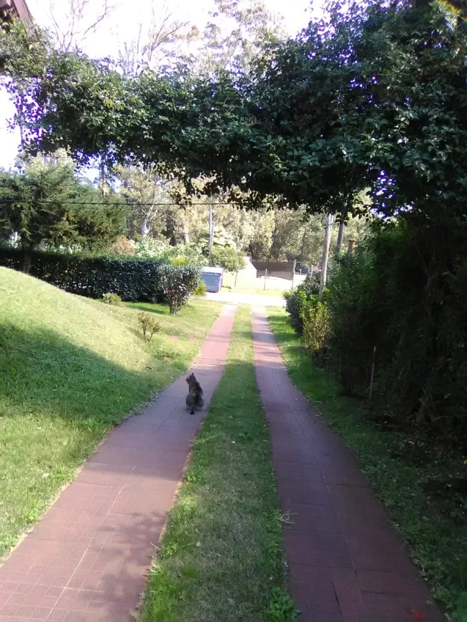 Casa ID.47 - LINDA CASA EN ZONA DE RINCONADA DE PUNTA BALLENA,