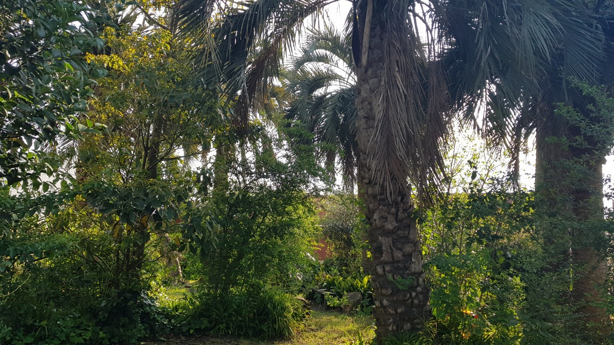 Casa ID.4944 - Casa en Maldonado, Centro Maldonado