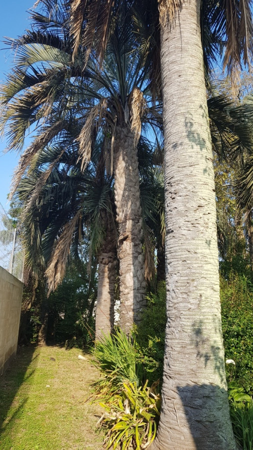 Casa ID.4944 - Casa en Maldonado, Centro Maldonado