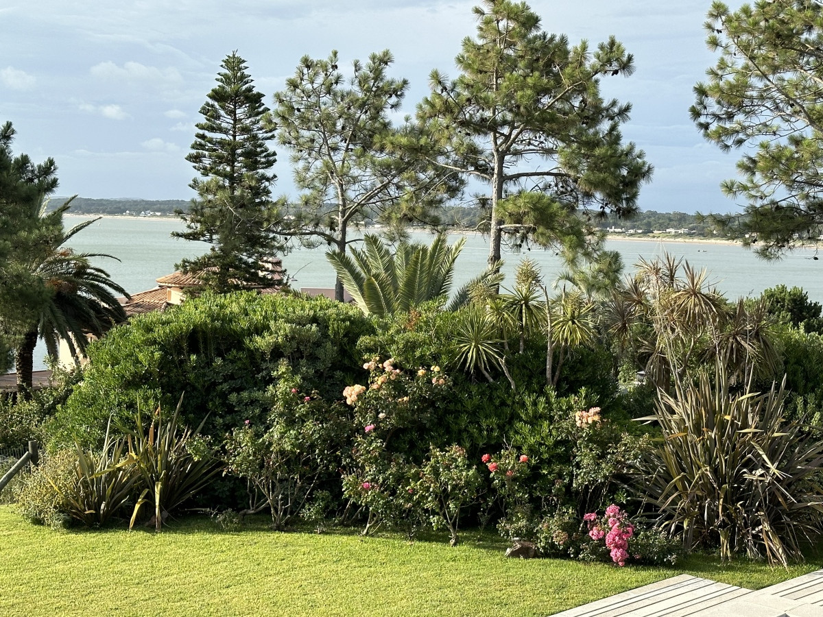 Casa ID.6420 - Venta excelente casa en Punta Ballena 