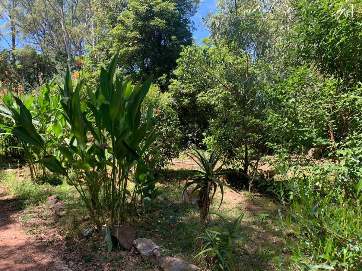 Casa ID.6775 - Venta casa en las cumbres Punta Ballena 