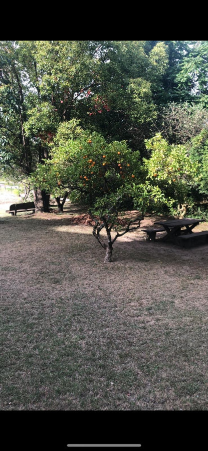 Casa ID.6939 - Casa en Punta Ballena, Laguna del Sauce