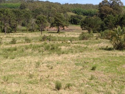 Venta chacra sobre camino La pataia Punta Ballena 