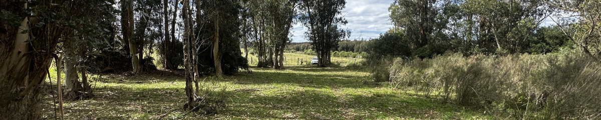 Venta chacra km 116 ruta 9. Cerca de Pan de azúcar
