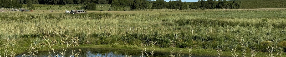 Venta chacra cercana a Pueblo Edén