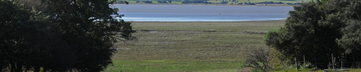 Venta chacra en Laguna Garzón