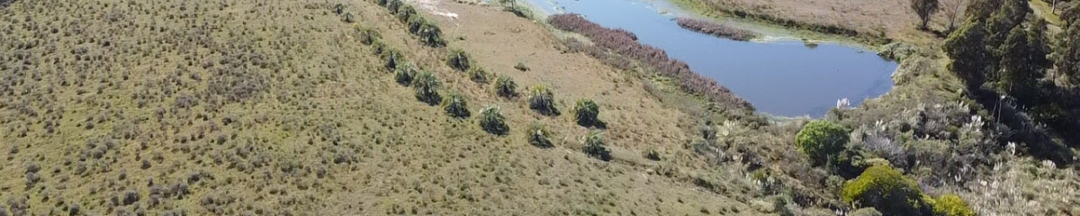 Venta chacra con vista a la laguna del sauce