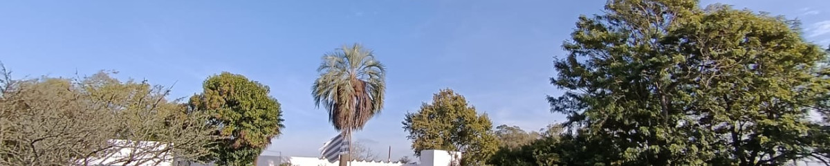 Venta chacra en san Carlos ruta 9