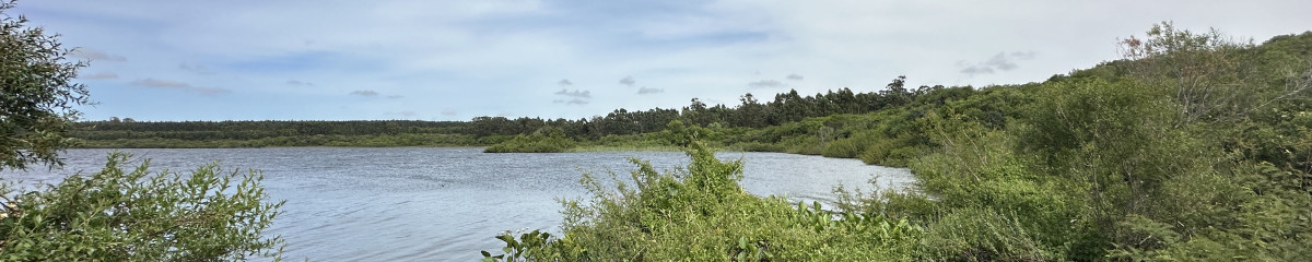 Venta chacra sobre Laguna del Sauce costa norte