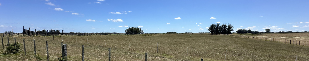 Vendemos chacra en zona Rural José Ignacio