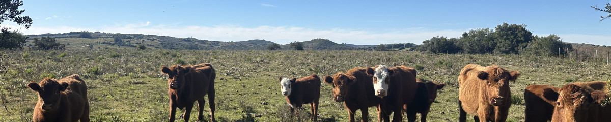 Venta Chacra en Pueblo Edén, Maldonado