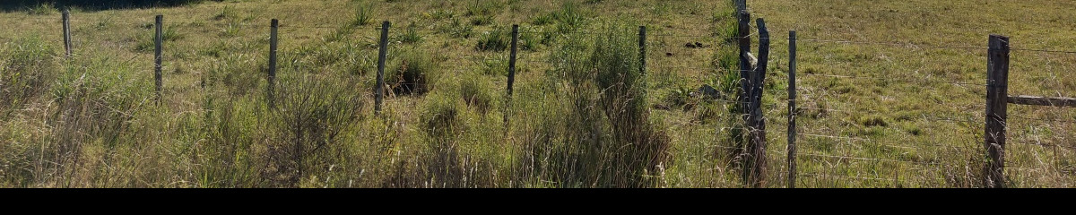 Venta fracción de campo en zona La Pataia