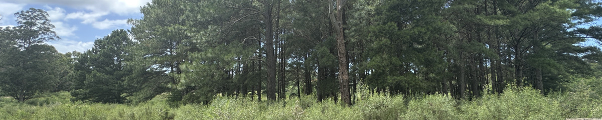 Venta chacra en zona La Paita. Punta Ballena