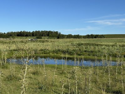 Venta chacra cercana a Pueblo Edén 