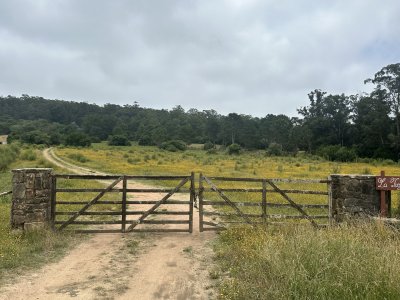 Venta chacra en zona La Pataia Punta Ballena 