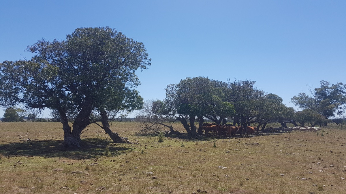 Chacra en Zona Rural, Zona Rural