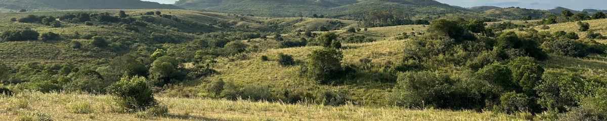 Venta chacra Maldonado rural