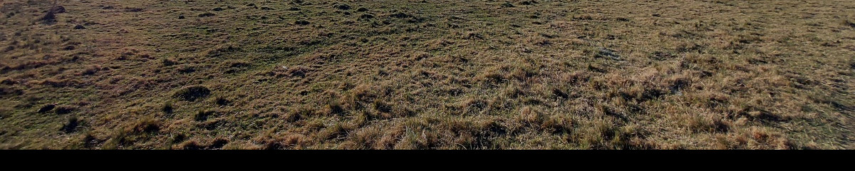 Venta campo ideal para fraccionar en chacras