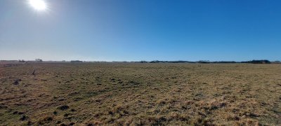 Venta campo ideal para fraccionar en chacras codigo 6003