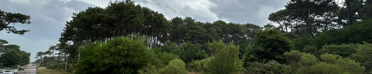 Venta terreno en Montoya, La Barra, Maldonado