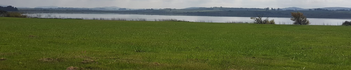 Terreno en Punta Ballena, Laguna de los Cisnes