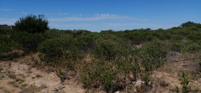 Lote junto al mar