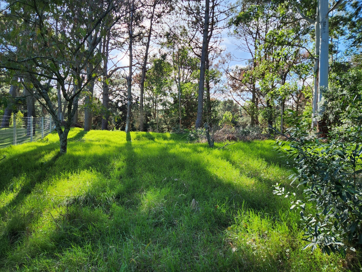 Venta terreno sobre cancha de golf 