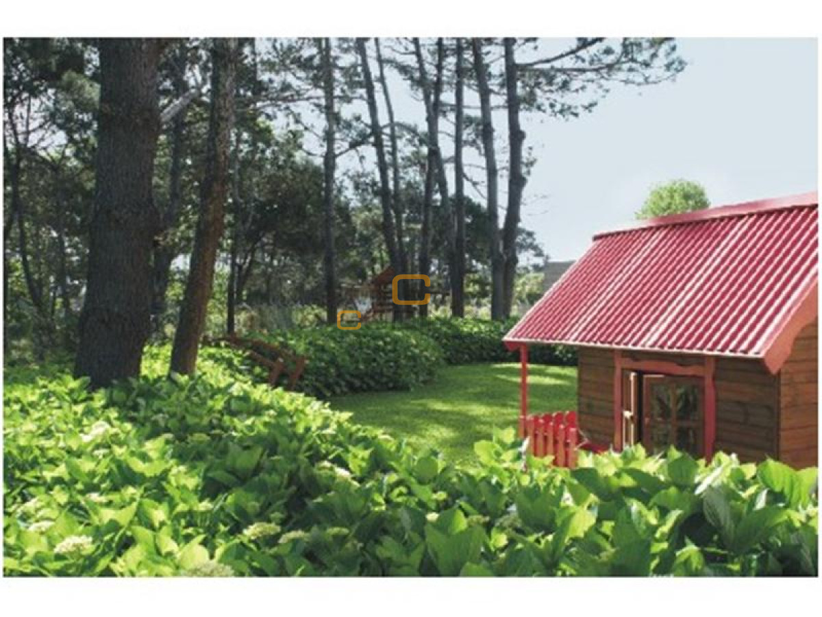 Apartamento ID.459 - Apartamento en Punta del Este, Roosevelt