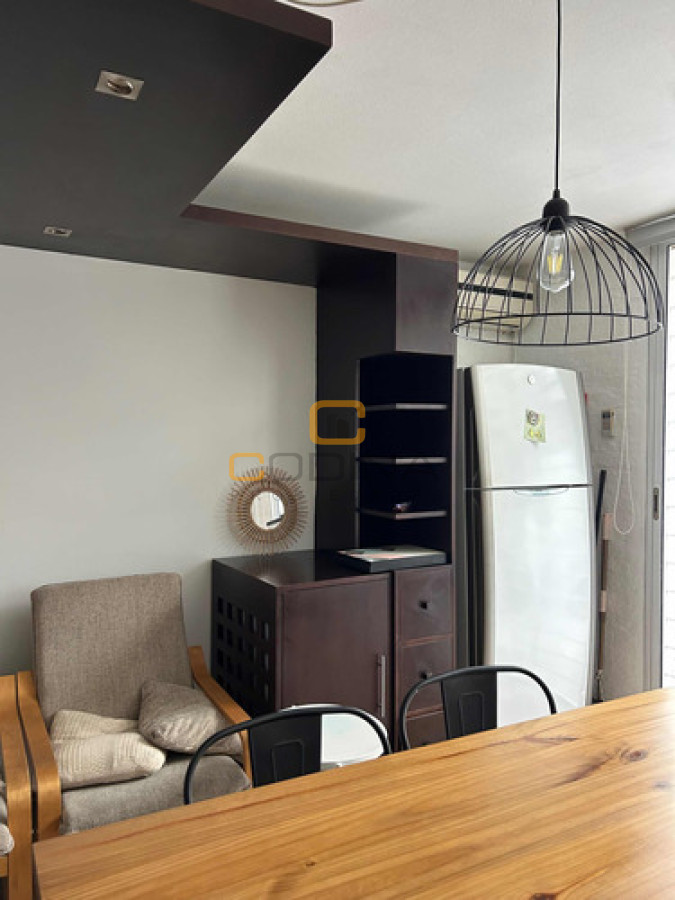 Apartamento ID.1560 - VENTA DÚPLEX LIVING COMEDOR DOS DORMITORIOS UN BAÑO COCINA INTEGRADA PARQUE RODÓ.