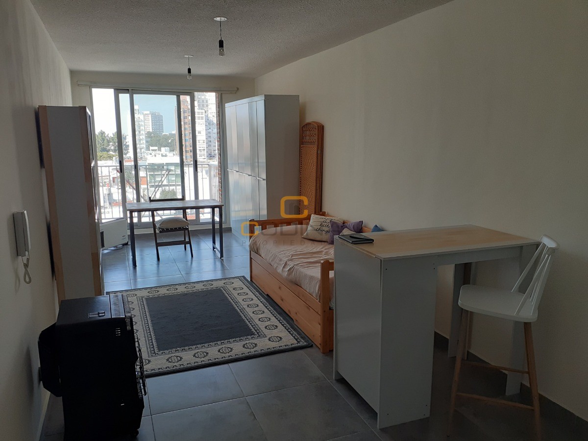 Apartamento ID.1430 - VENTA MONAMBIENTE LIVING COMEDOR COCINA INTEGRADA BAÑO Y BALCON PARQUE BATLLE  