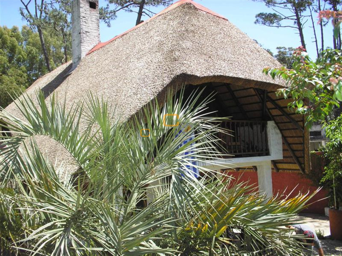 Casa ID.320 - Casa en Punta del Este, Pinares