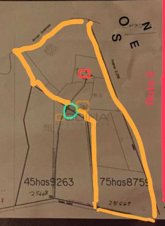 Chacra ID.696 - Chacra de 75 Hectáreas en Ruta 9 a la altura de José Ignacio