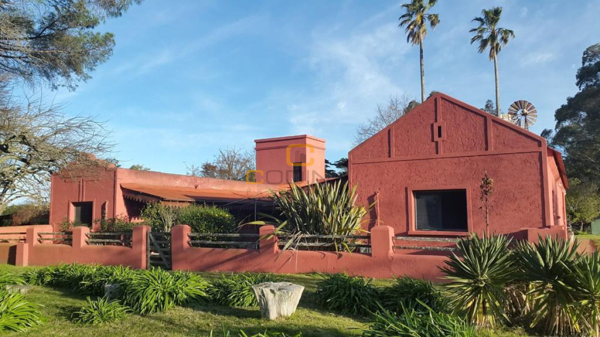 Chacra ID.696 - Chacra de 75 Hectáreas en Ruta 9 a la altura de José Ignacio