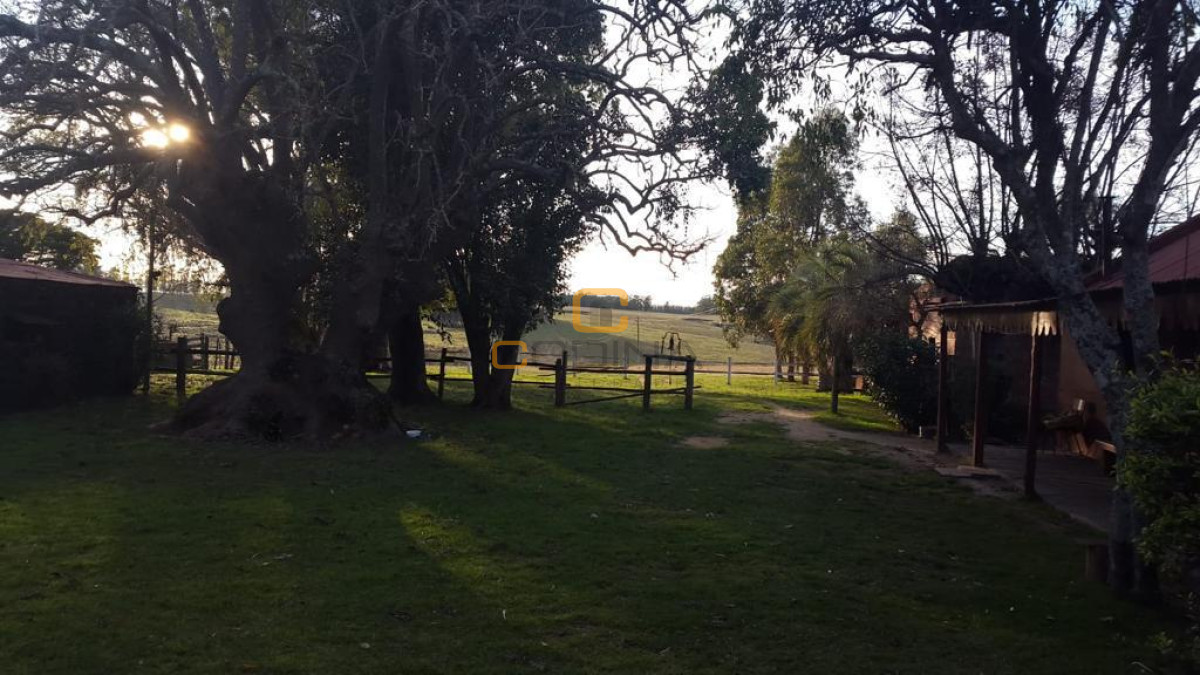 Chacra ID.696 - Chacra de 75 Hectáreas en Ruta 9 a la altura de José Ignacio