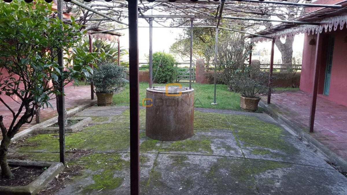 Chacra ID.696 - Chacra de 75 Hectáreas en Ruta 9 a la altura de José Ignacio