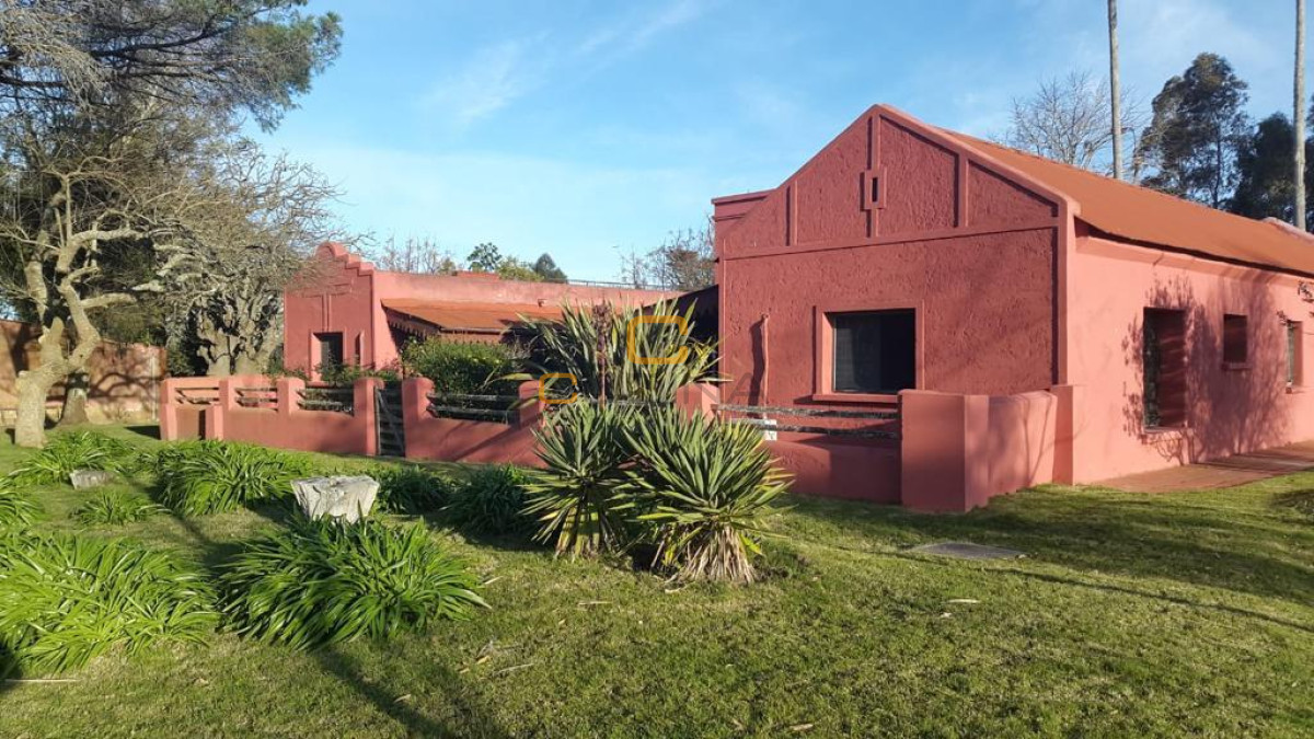 Chacra ID.696 - Chacra de 75 Hectáreas en Ruta 9 a la altura de José Ignacio