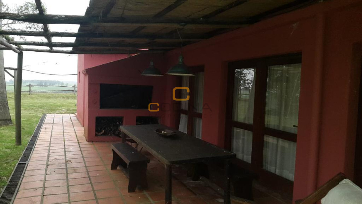 Chacra ID.696 - Chacra de 75 Hectáreas en Ruta 9 a la altura de José Ignacio