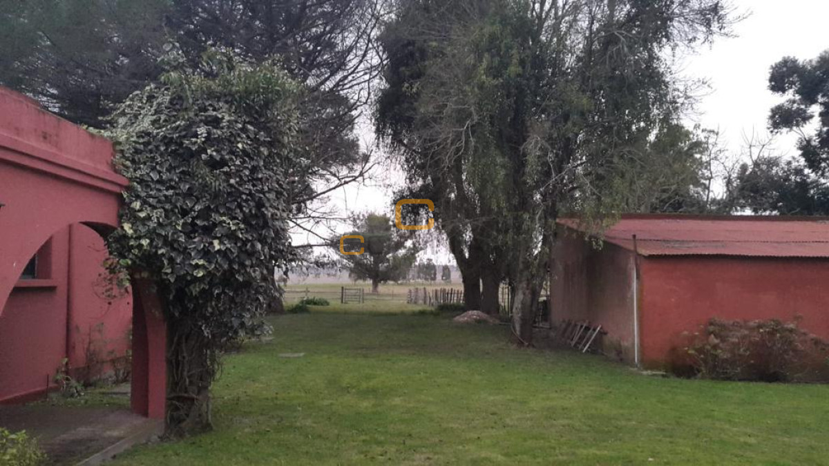 Chacra ID.696 - Chacra de 75 Hectáreas en Ruta 9 a la altura de José Ignacio