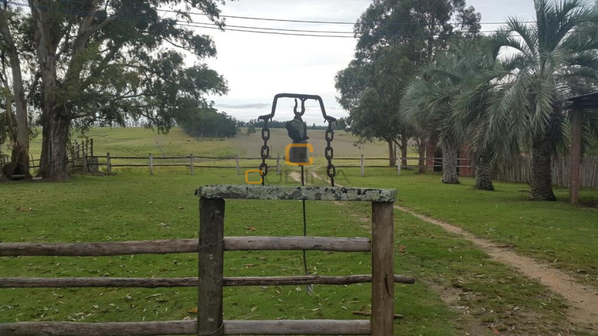 Chacra ID.696 - Chacra de 75 Hectáreas en Ruta 9 a la altura de José Ignacio