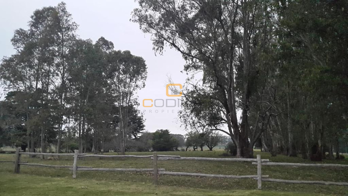 Chacra ID.696 - Chacra de 75 Hectáreas en Ruta 9 a la altura de José Ignacio