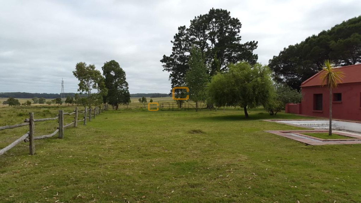 Chacra ID.696 - Chacra de 75 Hectáreas en Ruta 9 a la altura de José Ignacio