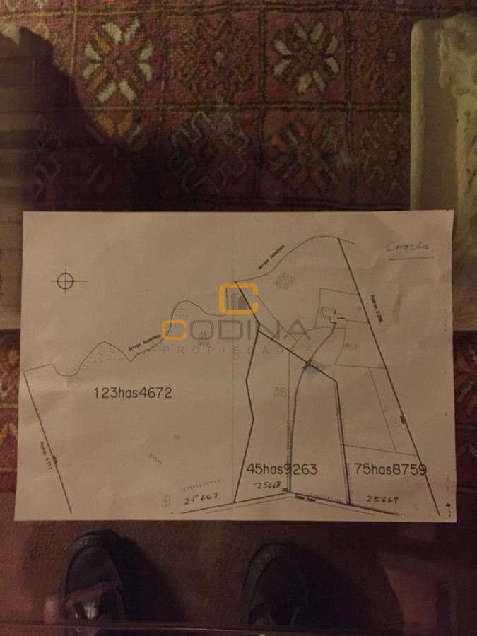 Chacra ID.696 - Chacra de 75 Hectáreas en Ruta 9 a la altura de José Ignacio